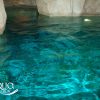 Turquoise Aqua Couleur